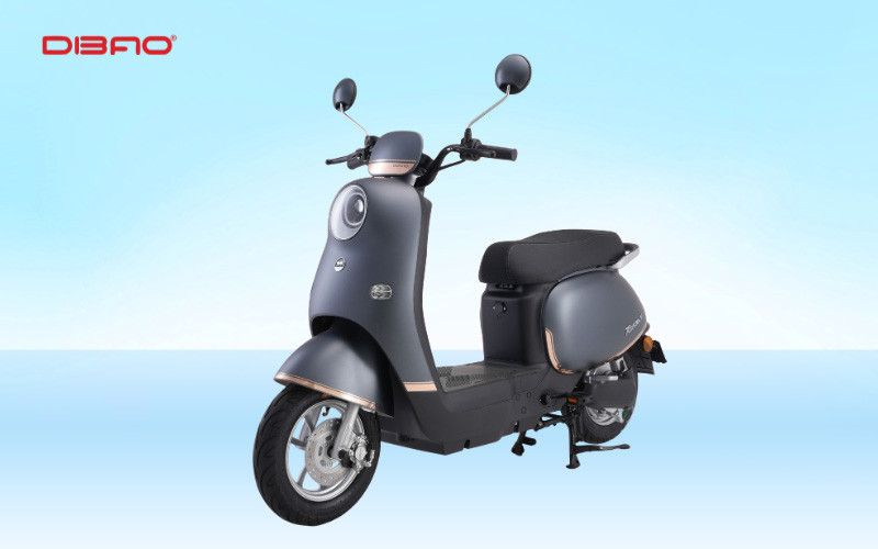 Xe điện màu xám Dibao Rosa